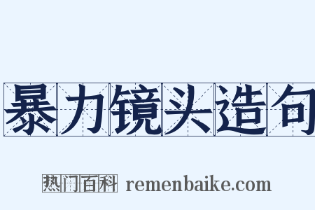 暴力镜头造句是什么意思的图片